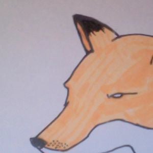 Profile picture for Schulla