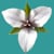 EFT Harmony