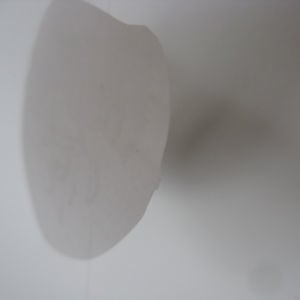 Profile picture for Kendall Nordin