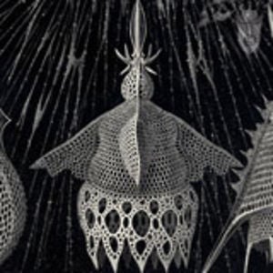 Profile picture for Nick Yulman