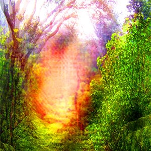 Profile picture for Rainforest