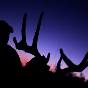 Profile picture for Stephen Phillips