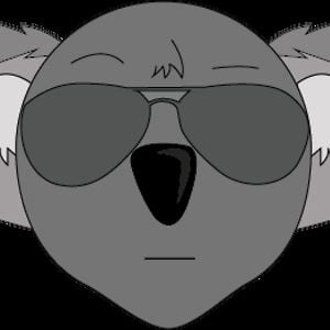 Profile picture for Kool Koala