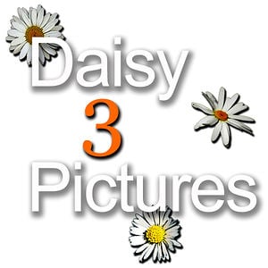 Profile picture for Mark Holmes