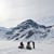 Dos Tiempos Backcountry