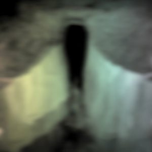Profile picture for BAT HAUS