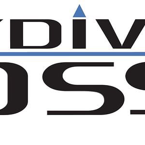 Profile picture for Skydive Voss
