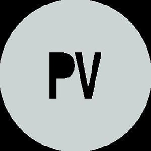 Profile picture for paolo vigorito