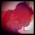 laura kelly