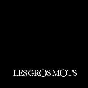 Profile picture for LES GROS MOTS