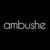 A.M. Bushe