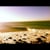 itrainsinthedesert