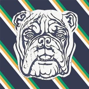 Profile picture for AKondeati