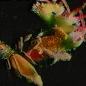 Profile picture for Sally Richardson