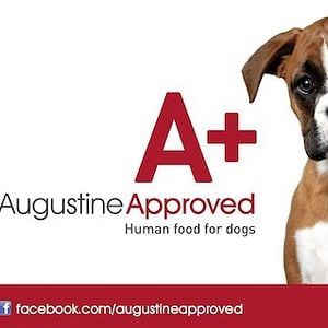 Profile picture for Augustine Approved