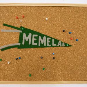 Profile picture for the memelab