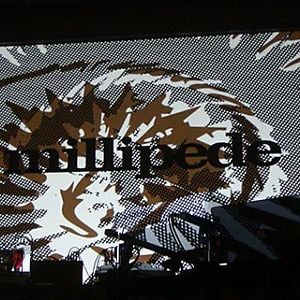 Profile picture for Millipede (Don Hill)