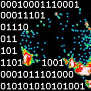 Profile picture for Ben Reardon, Dataviz Australia