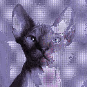 Profile picture for Wojtek Polak
