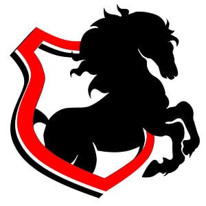 Profile picture for The Cavalry Productions