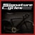 Signature Cycles