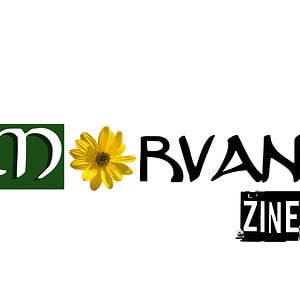 Profile picture for Morvanzine