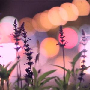 Profile picture for Pretty Lights Music