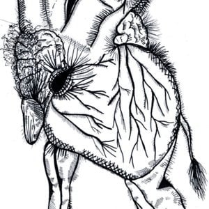 Profile picture for Alexis de Chaunac