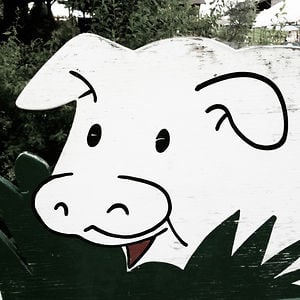 Profile picture for Shinji Inamoto