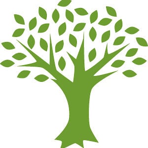 Profile picture for Lifetree Cafe