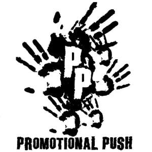Profile picture for Promotional Push