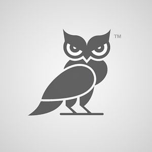 Profile picture for Owl House Productions