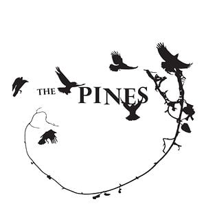 Profile picture for The PINES