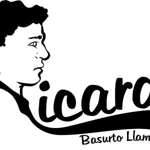 Profile picture for Ricardo Llamas