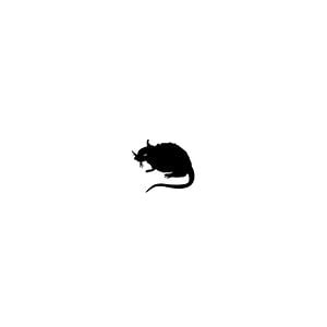 Profile picture for Stray Rats