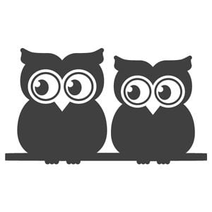 Profile picture for A Couple Of Night Owls