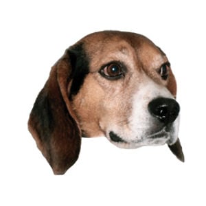 Profile picture for Colter Freeman