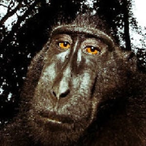 Profile picture for MJ16
