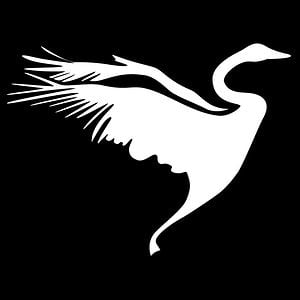 Profile picture for TS Berlin