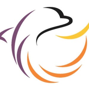 Profile picture for SunDolphin Video Productions