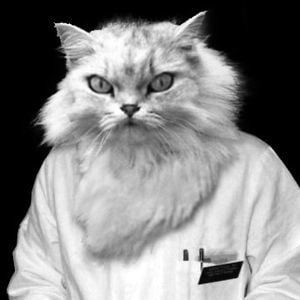 Profile picture for Doktor Katze