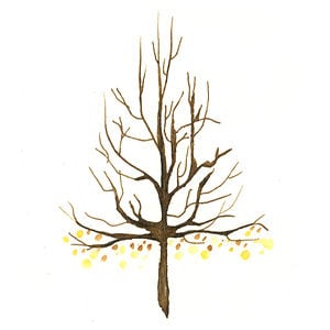 Profile picture for Elaine Chen
