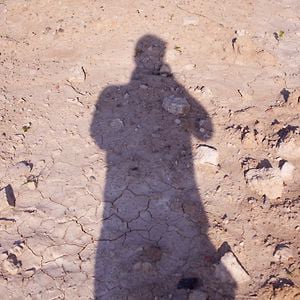 Profile picture for Michael Pierro