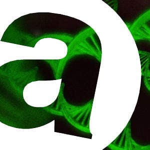 Profile picture for A Productions