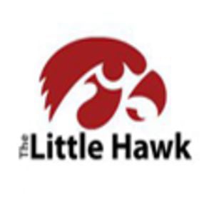 Profile picture for Little Hawk