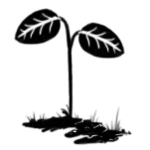 Profile picture for Marcos González
