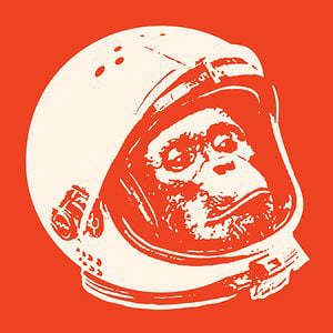 Profile picture for Patrick Wood