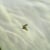 Dub A Fly