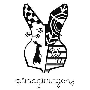 Profile picture for usaginingen