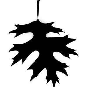 Profile picture for BLACK OAK CREATIVE